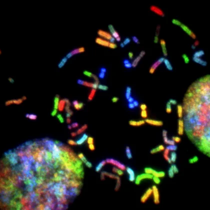 Genetické a epigenetické testovanie v medicíne